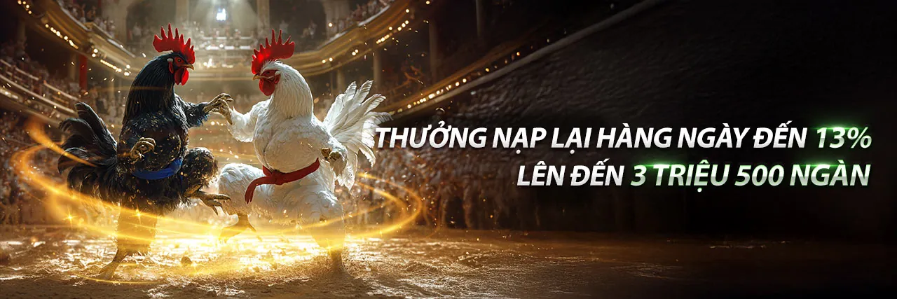 Hình ảnh đại diện cho Điều Khoản và Điều Kiện của 798bet nhà cái
