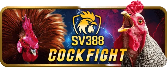 Danh mục trò chơi đa dạng tại 798bet nhà cái